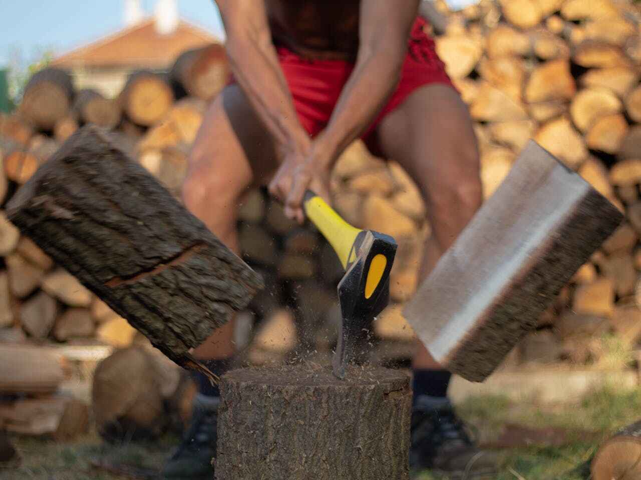 Kyle, TX Tree Service Company